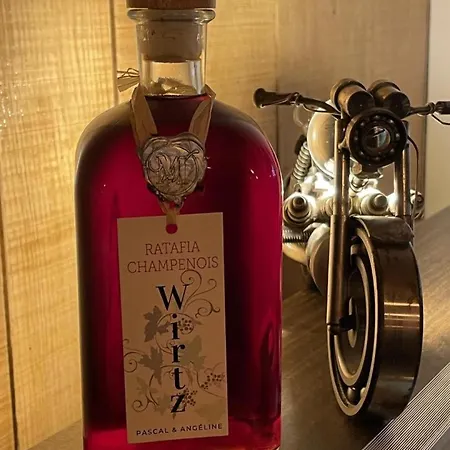 Le Terminus 펜션 Villenauxe