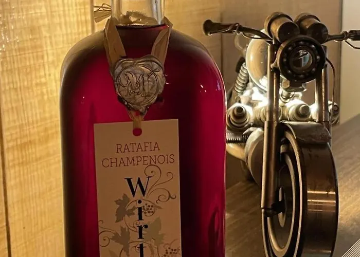 Le Terminus Σπίτι διακοπών Villenauxe